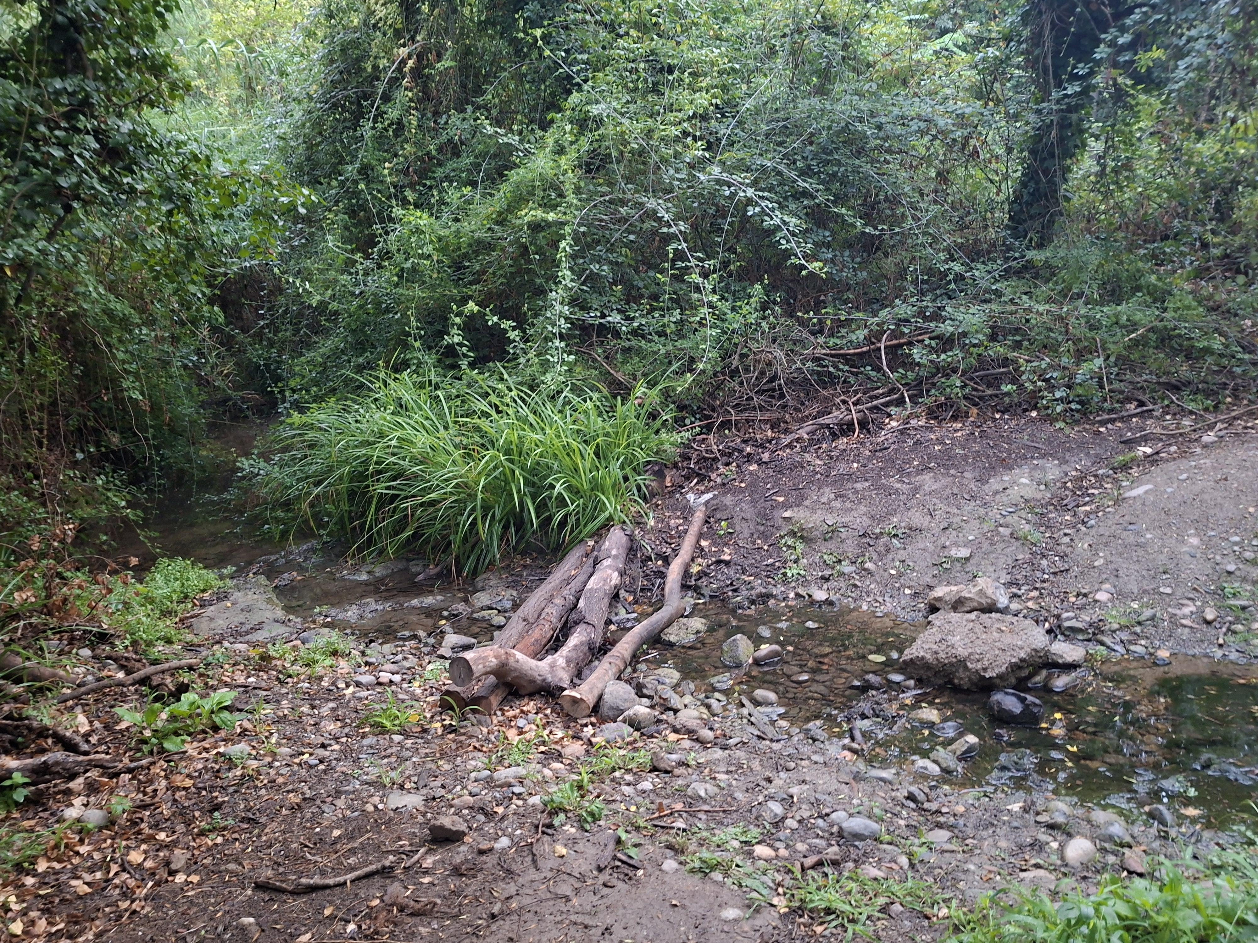 Riera de Rodonell, Corçà