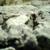 @selmins@xarxa.cloud