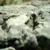 @selmins@xarxa.cloud